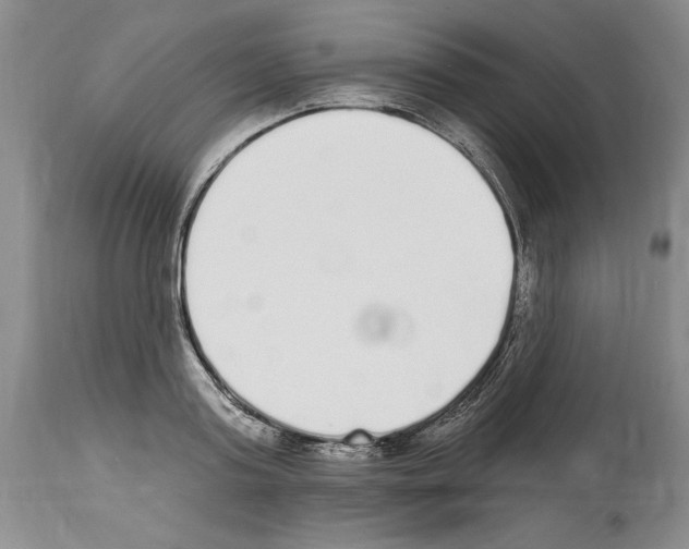 X0000114070795200911161151