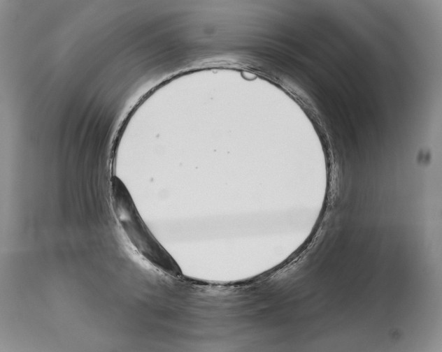 X0000114070800200911161151