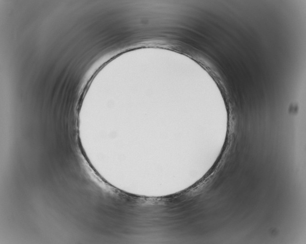 X0000114070808200911161151