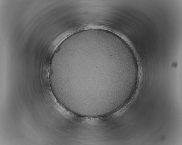 X0000114070809200911161151