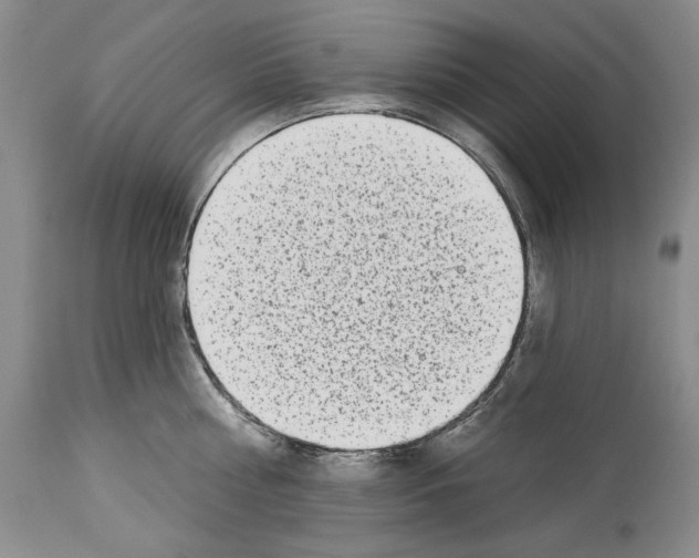 X0000114070810200911161151