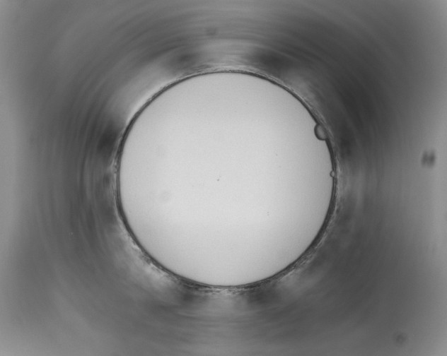 X0000114070814200911161151