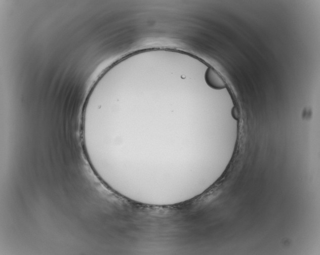 X0000114070815200911161151