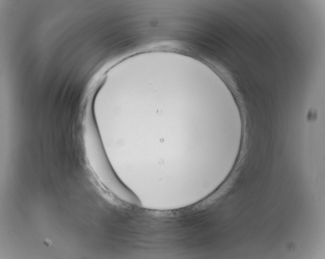 X0000114070816200911161151