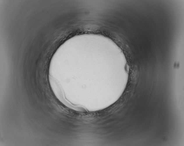 X0000114070817200911161150