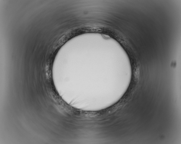 X0000114070819200911161150