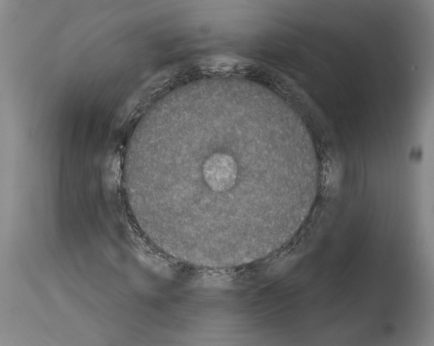 X0000114070820200911161150