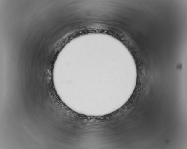 X0000114070821200911161150