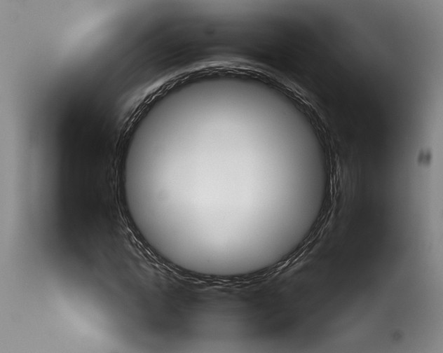 X0000114070822200911161150