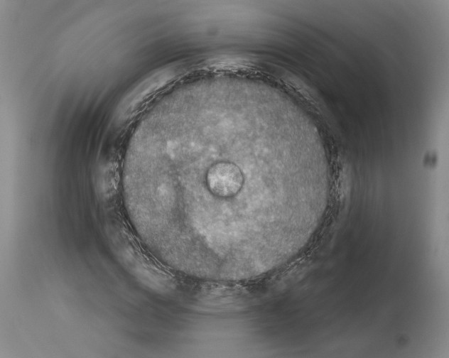 X0000114070824200911161150