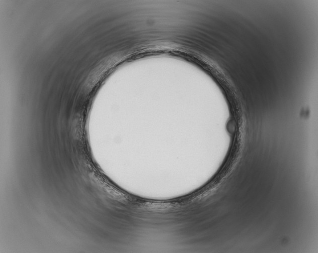 X0000114070825200911161150