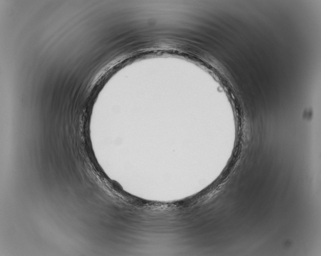 X0000114070826200911161150