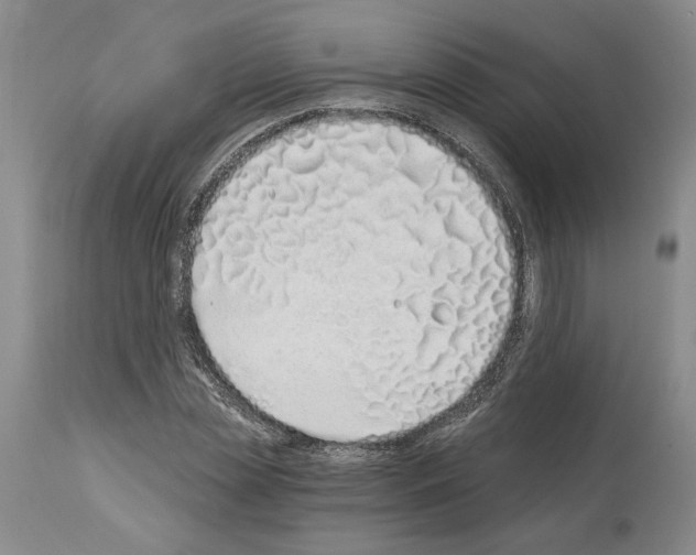 X0000114070829200911161150