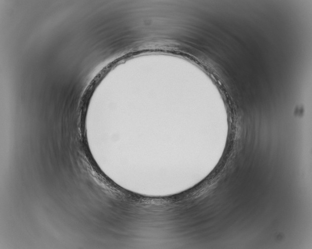 X0000114070830200911161150