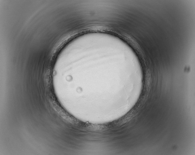 X0000114070831200911161150