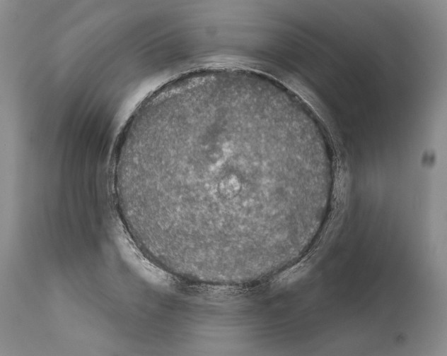 X0000114070832200911161150