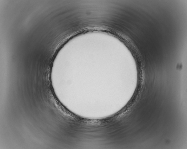 X0000114070833200911161150