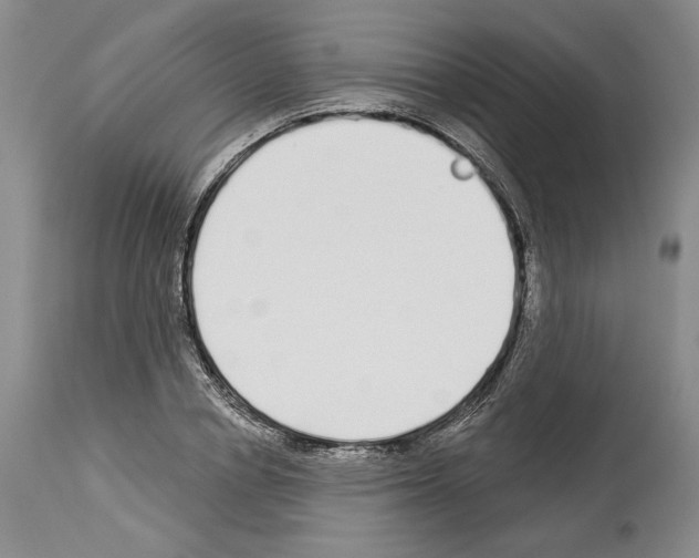 X0000114070834200911161150