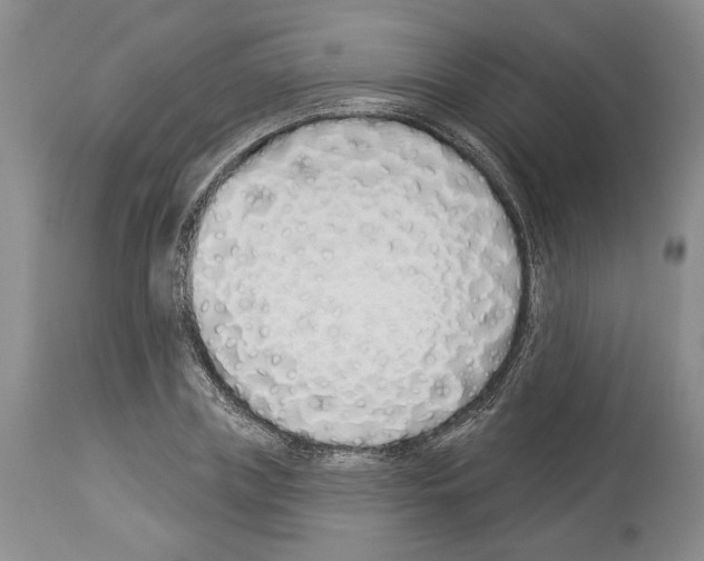 X0000114070835200911161150