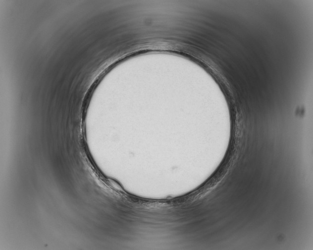 X0000114070837200911161150