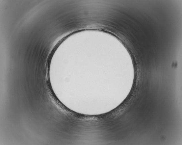 X0000114070838200911161150