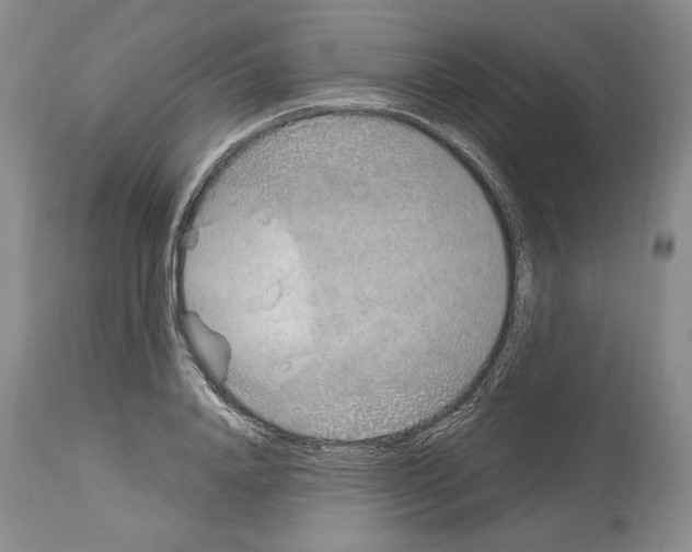 X0000114070840200911161150