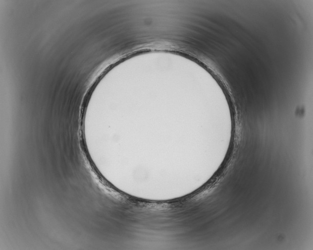 X0000114070845200911161151