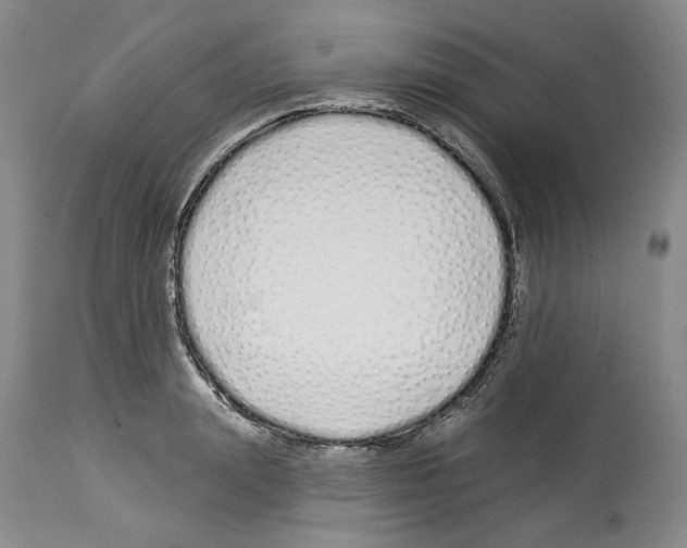 X0000114070847200911161151