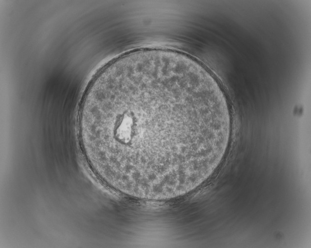 X0000114070848200911161151