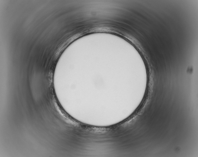 X0000114070849200911161151