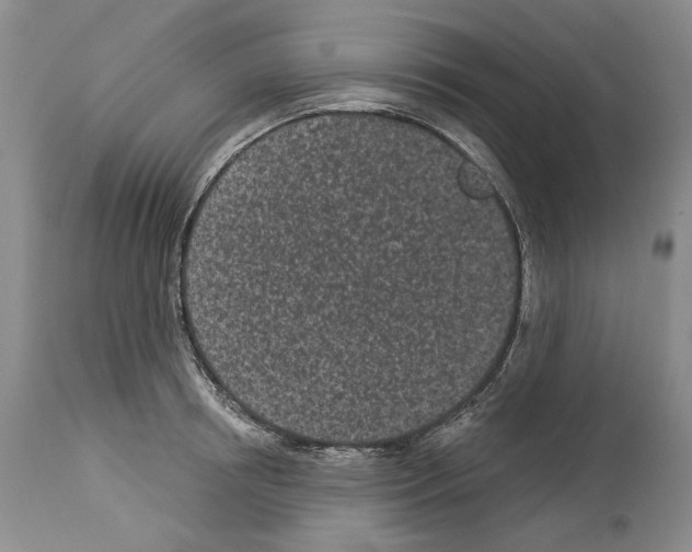 X0000114070850200911161151