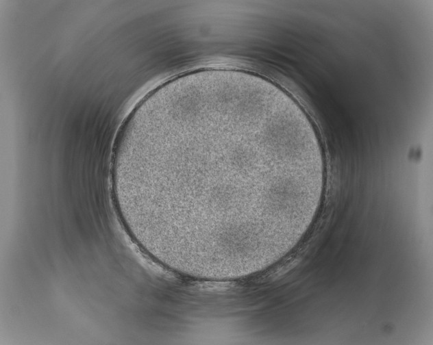 X0000114070853200911161151