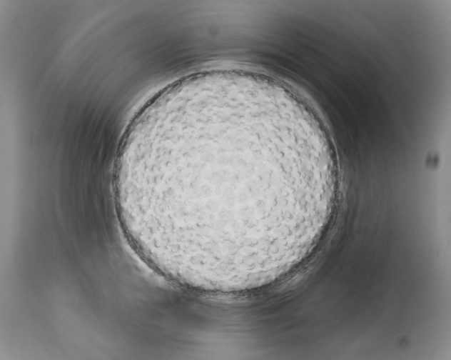 X0000114070855200911161151