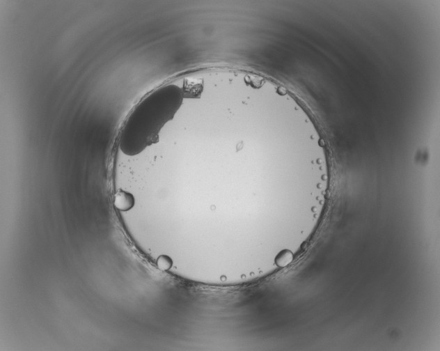 X0000114070856200911161151