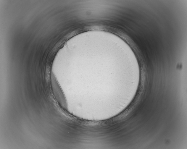 X0000114070857200911161151