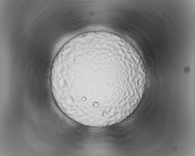 X0000114070863200911161151