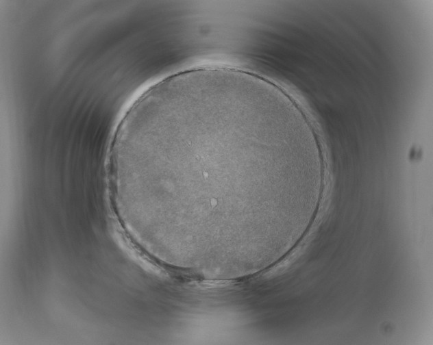 X0000114070864200911161151