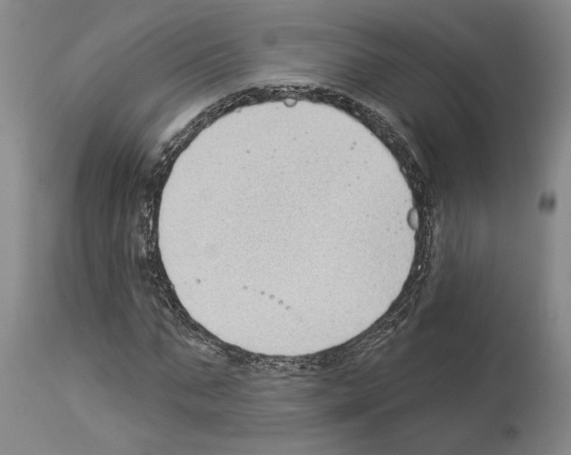 X0000114070871200911161150