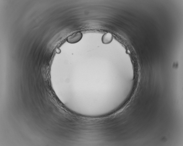 X0000114070873200911161150