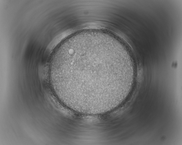 X0000114070874200911161150