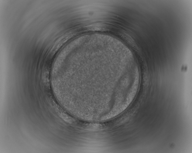 X0000114070881200911161150