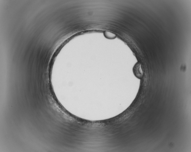 X0000114070884200911161150