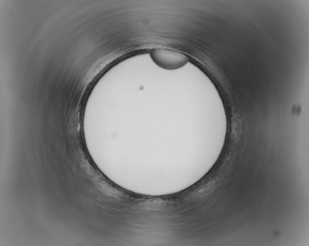 X0000114070885200911161150