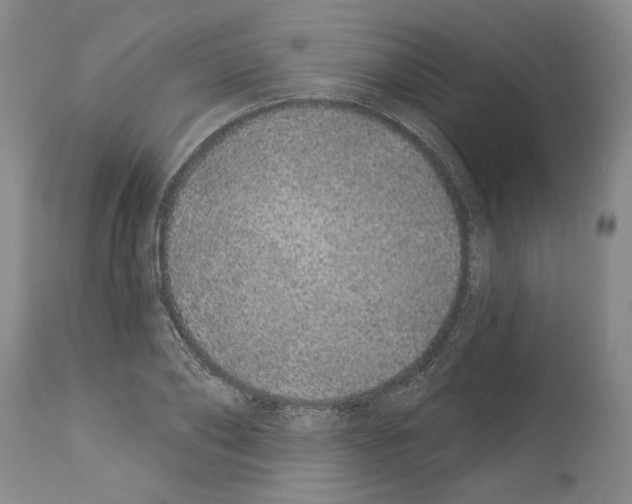 X0000114070886200911161150