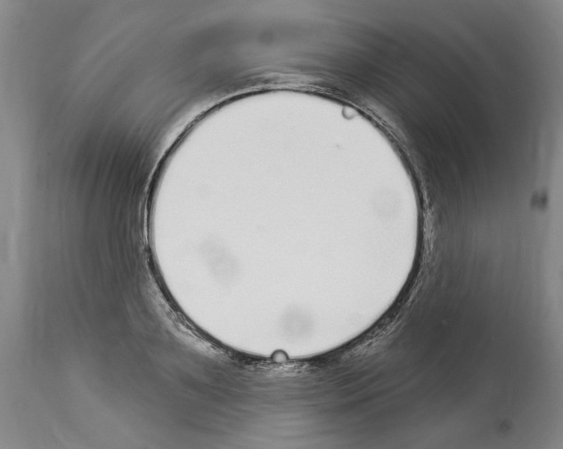 X0000114070891200911161150