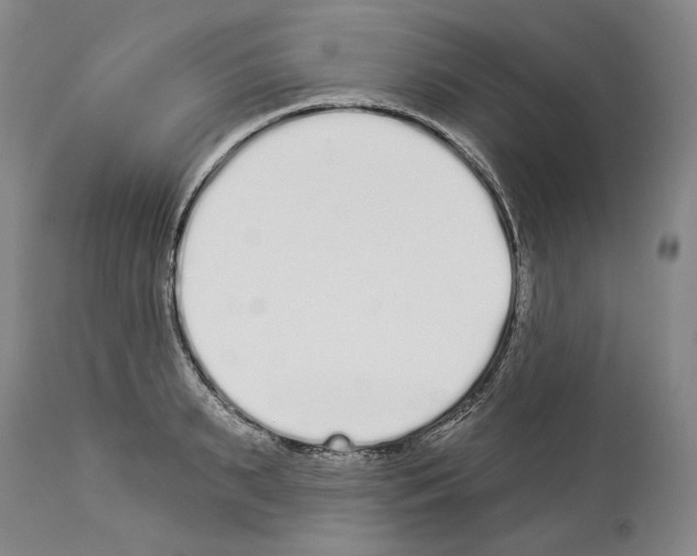 X0000114070895200911161150