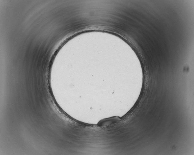 X0000114070896200911161150