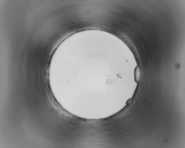 X0000114070900200911161150