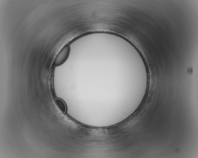 X0000114070901200911161150