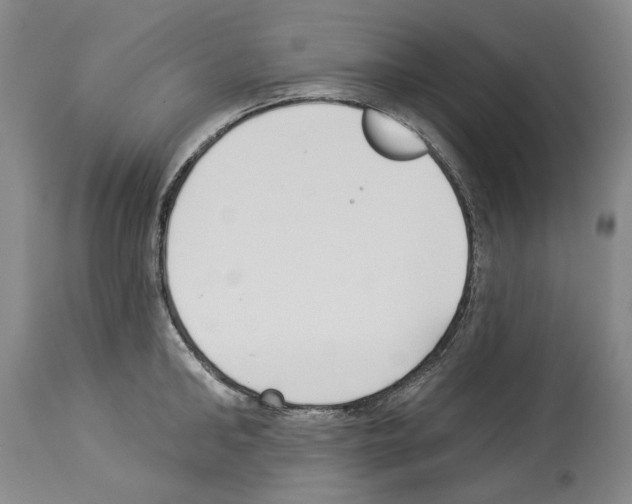 X0000114070902200911161150